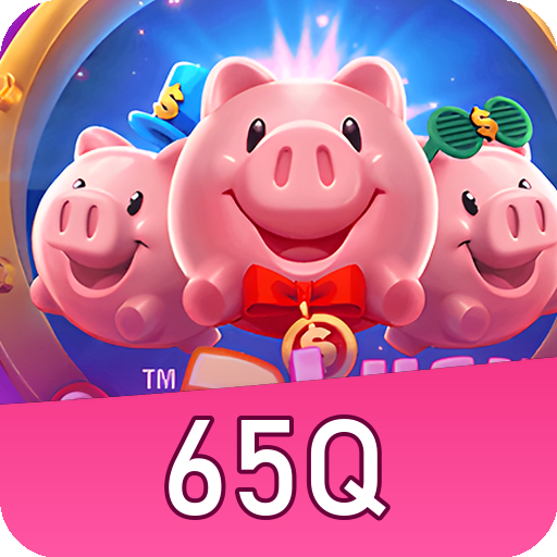 Formulário de Registro 65Q